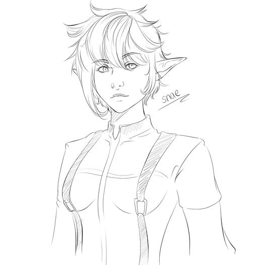 Snae, Comm